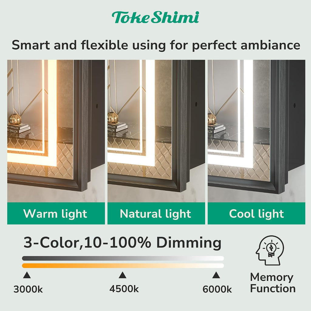 16x24 Inch LED Medicine Cabinet Black Frame, Medicine Cabinet with Lights, 3-Color Lighted Medicine Cabinet Mirror