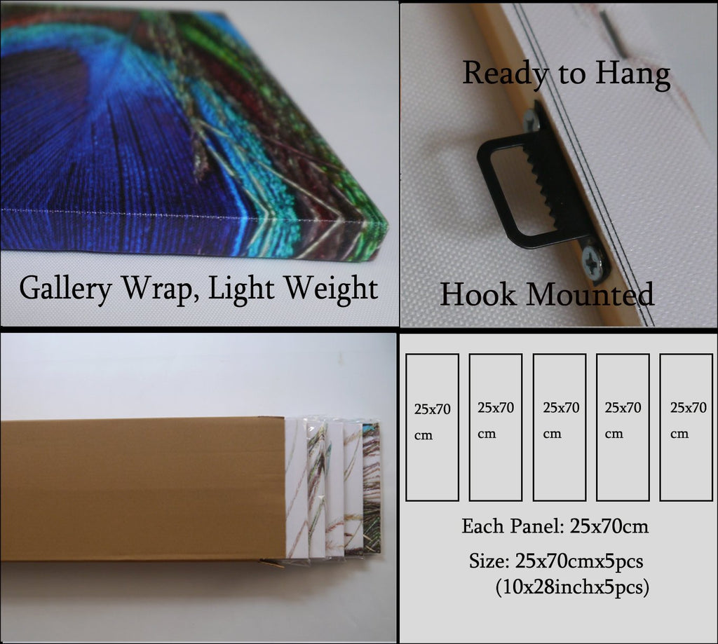 Wall Art Bedroom Decoration Peacock Painting