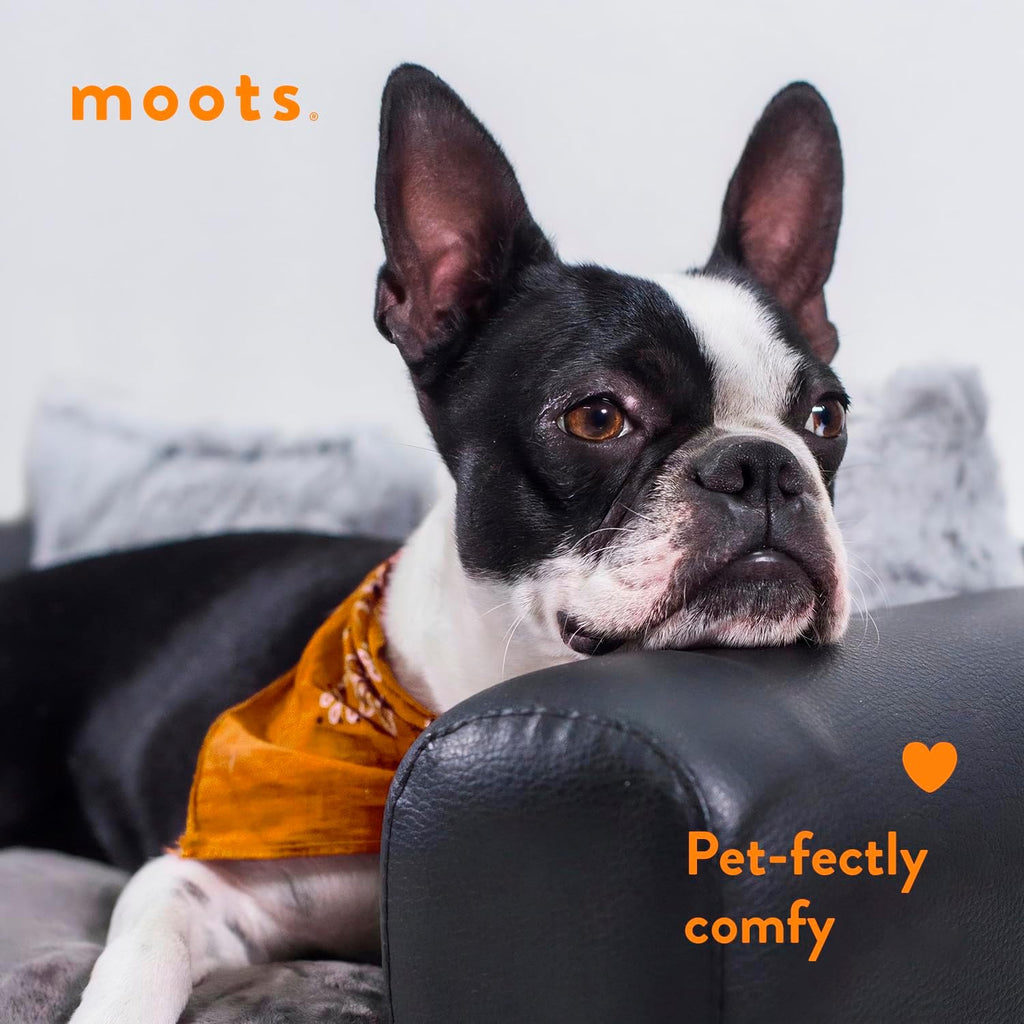 Premium Leatherette Pets Sofa, Espresso