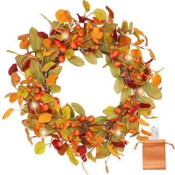 20 Inch Pre-Lit Eucalyptus and Magnolia Fall Wreath with 30 LEDs