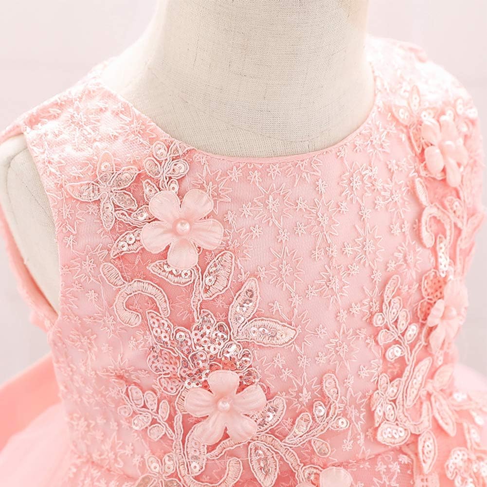 Baby Girl Baptism Dress Infant Christening Tulle Gown Wedding Flower Girl Embroidery Special Occasion Tutu Dress