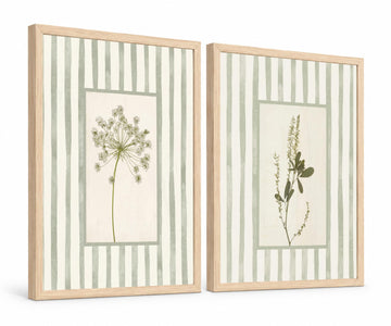 Sage Green Botanical Wall Art Set of 2 Framed, Vintage Herb Floral Canvas Prints, Cottagecore French Country Decor