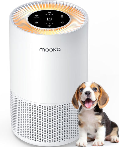 Air Purifiers for Home Large Rooms up to 1200ft², H13 True HEPA Air Purifier for Bedroom Pets with F
