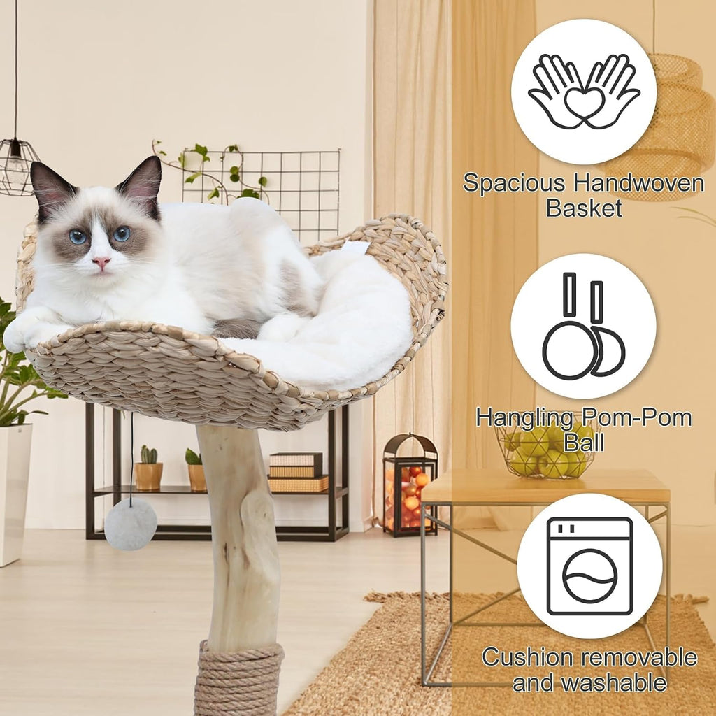 Modern Cat Tree Tower for Indoor Cats, Real Branch Luxury Cat Condo with Scratching Post, Jumping Platforms, Hanging