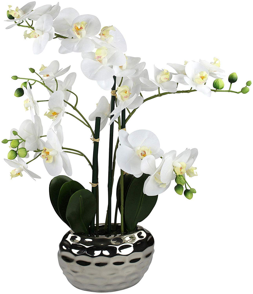 Artificial Flower, Fake Orchid Phalaenopsis Including Textured Metallic-Silver Vase, 24" (White)