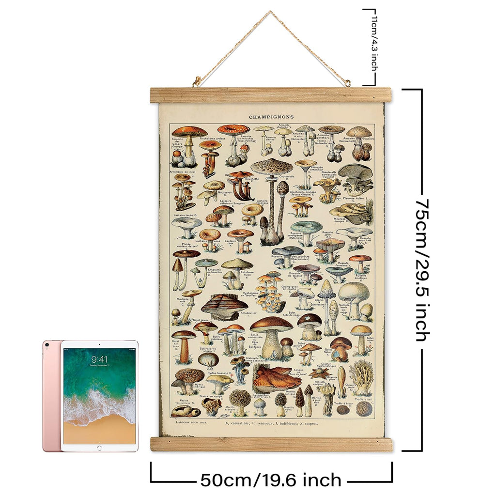 Vintage Mushroom Poster with Wooden Frame - Classic Botanical Print with Variety of Fungi Species - Retro Style Wall