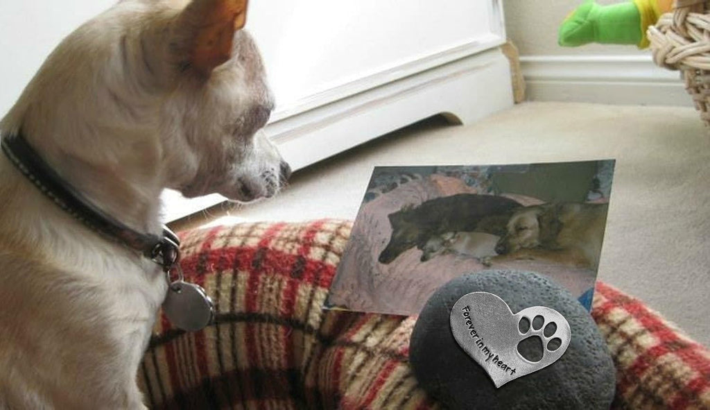 Comforting Dog Memorial Gift - Sympathy or Condolence Gift for Loss of Pet - Forever in My Heart Stone