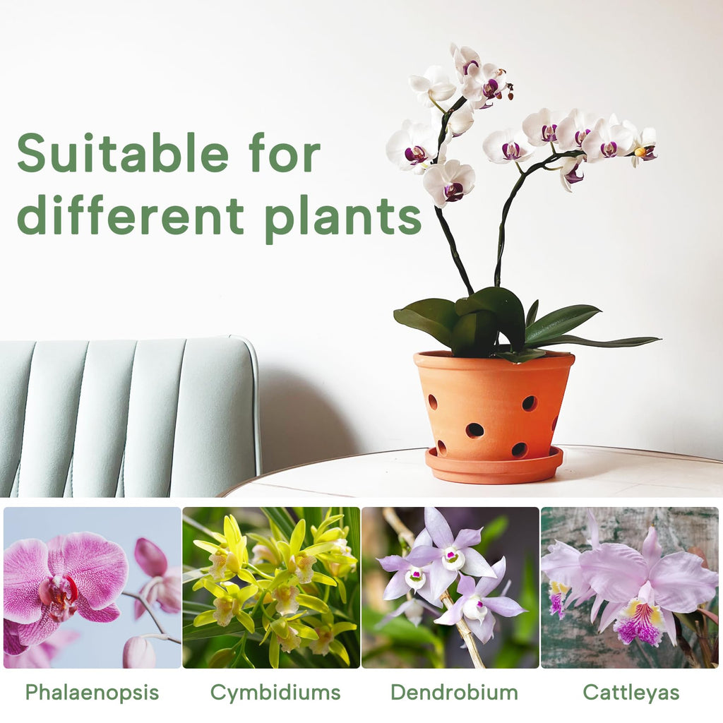 8 inch Terracotta Orchid Pots with Holes and Saucers, 2 Pack Clay Orchid Planter Pots for Repotting, Large Terra