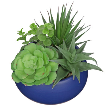 Fake Plants Artificial Succulents in Pots Faux Succulent Arrangement Potted Plant with Blue Ceramic Pot Decor Modern