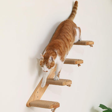 Cat Climbing Shelf Wall Mounted, Large