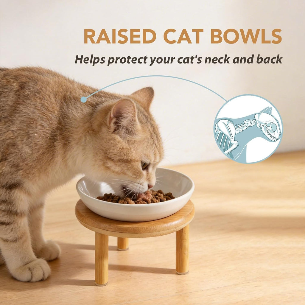 Elevated Cat Bowls, Ceramic Cat Bowl with Bamboo Stand Wide Opening