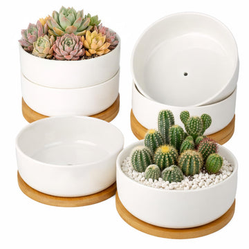6 Pack 6" Ceramic Succulent Pots, White Planters with Drainage Tray