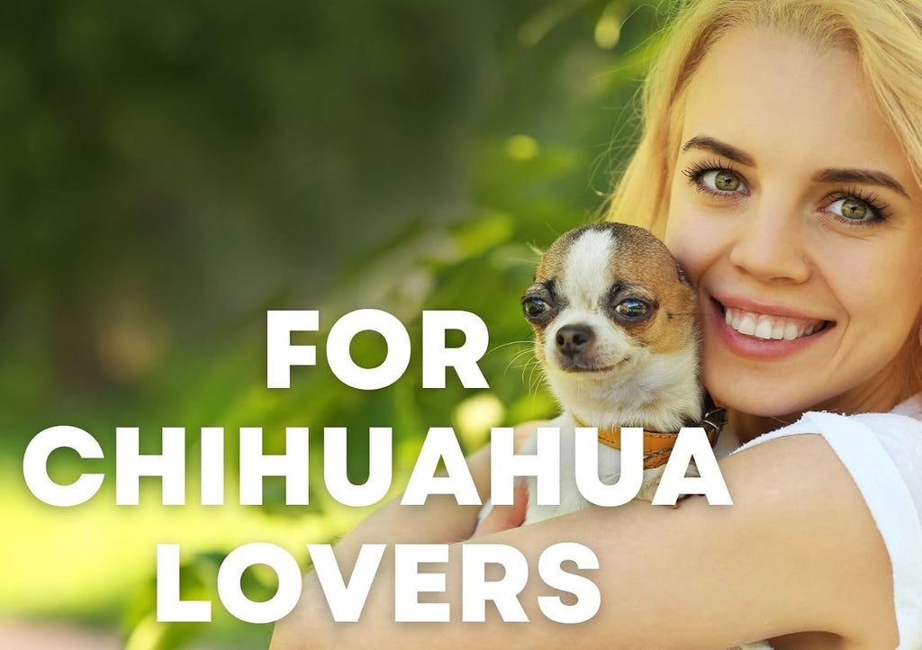 Chihuahua Gifts for Women & Men, Chihuahua Themed Wearable Flannel Blanket Hoodie, Oversized Hooded Sweatshirt, One