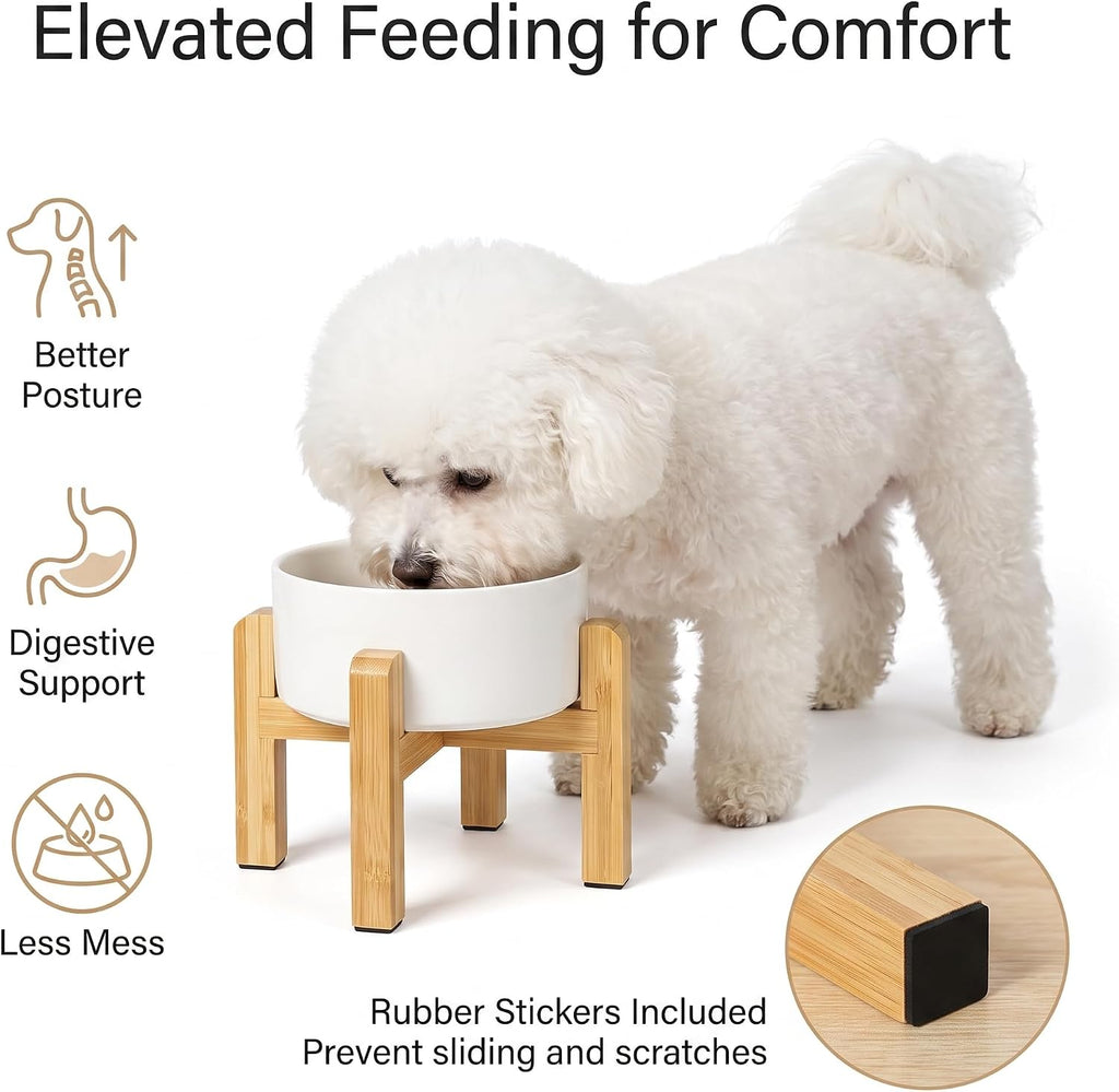 Ceramic Elevated Dog Bowl with Bamboo Stand, for Small & Medium Dog, White