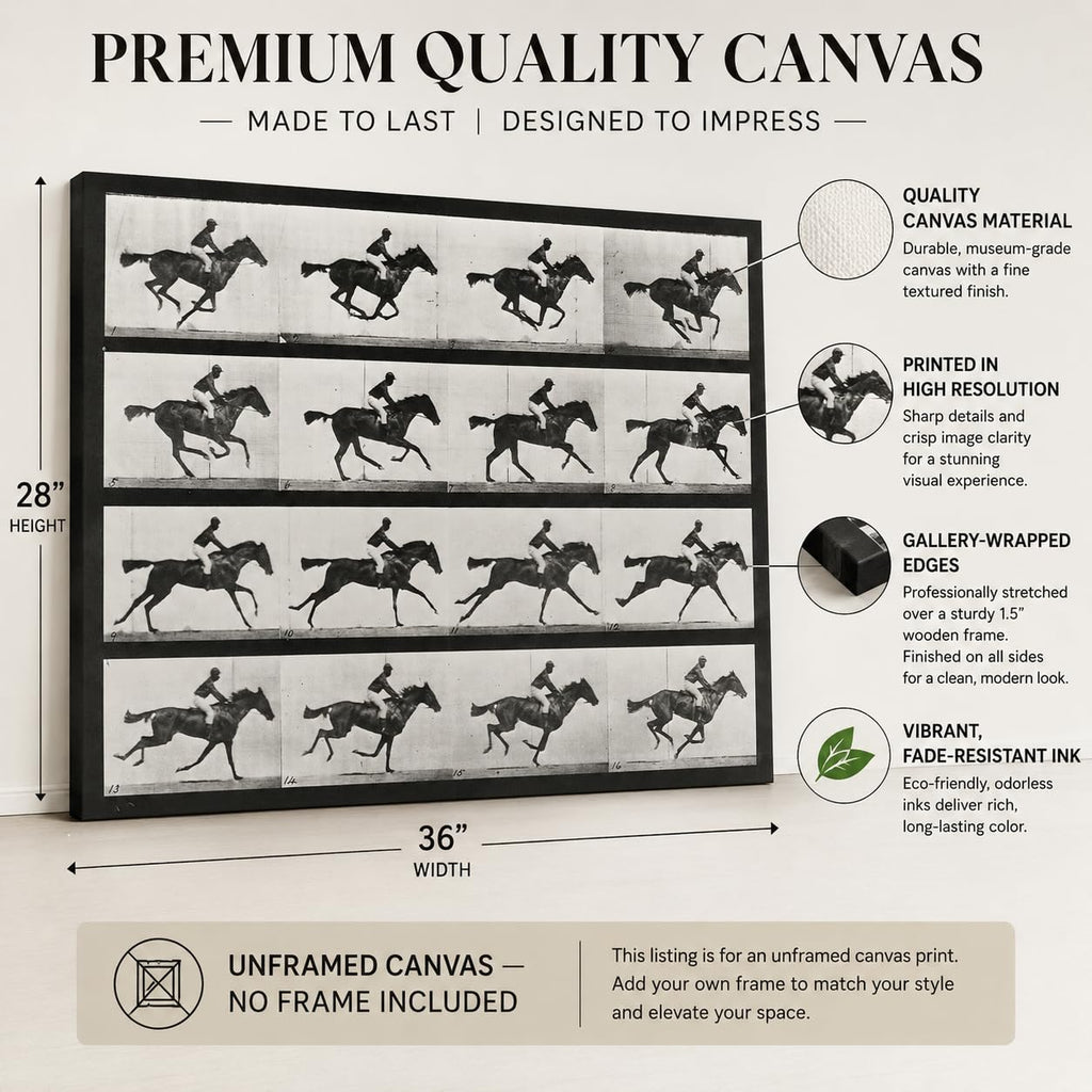 Muybridge Galloping Horse Wall Art 28x36 Stretched Canvas Ready to Hang Vintage Motion Study Photography Eadweard