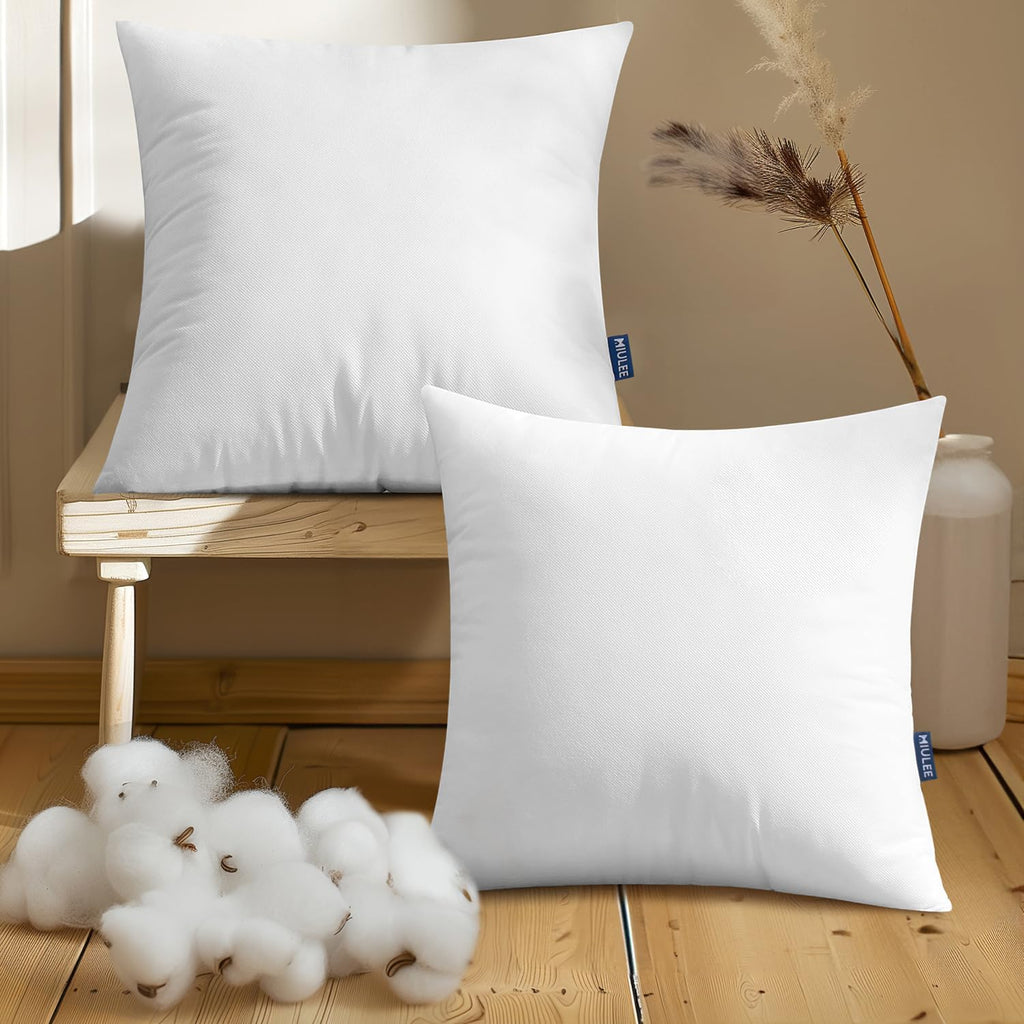 Pillow Insert 18x18 Inch, Decorative Throw Pillow Inserts - Set of 2