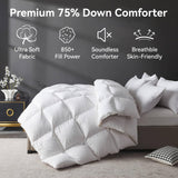 Organic 75% Down Fiber Comforter Oversize Queen,850+FP,1200TC,Extra Fluffy,Hotel Style,Luxury Ultra 