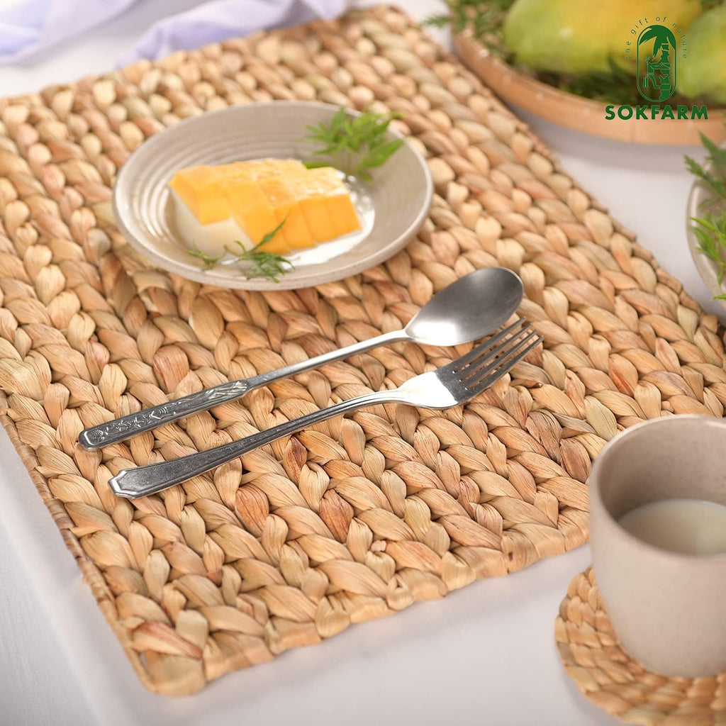 Water Hyacinth Rectangular Placemats, 17 x 12 Inch Woven Rattan Table Mats for Dining Table, Heat Resistant - Set of 6