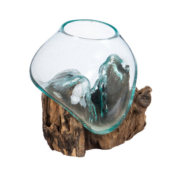 7" Hand-Blown Blue Tinted Bubble Glass On Natural Teak Driftwood Terrarium Kit | Home Décor Indoor Planter with