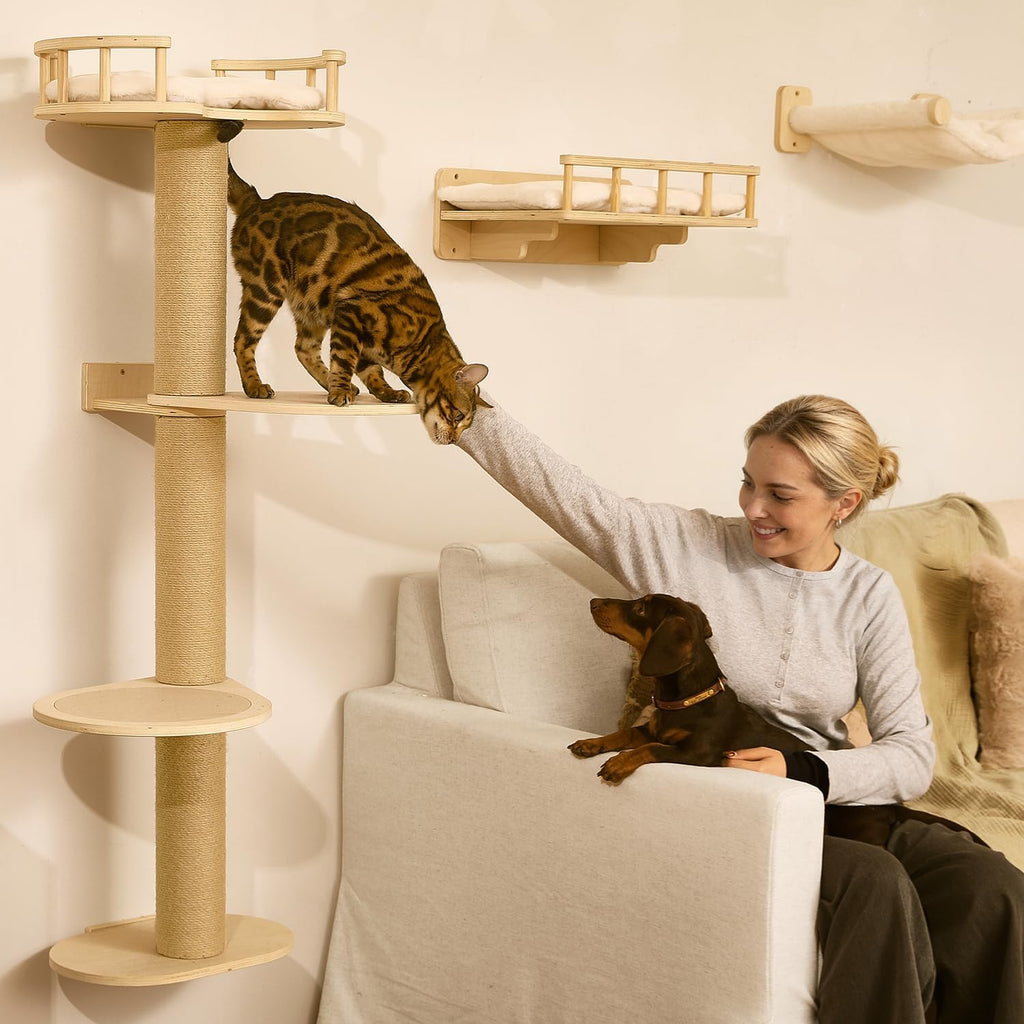 Cat Wall Shelves, 4 in 1 Set, Beige