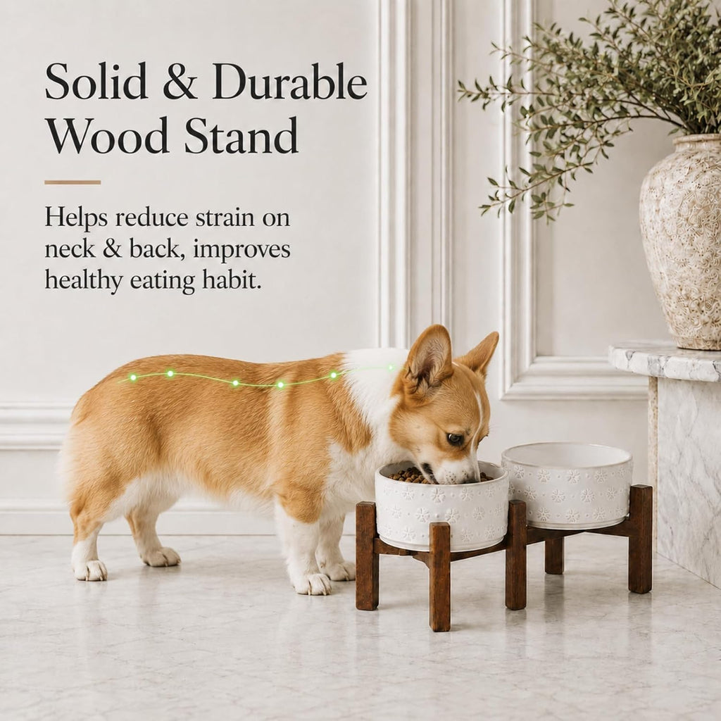 Elevated Dog Bowls, Raised Ceramic Dog Bowl for Small & Medium Dogs