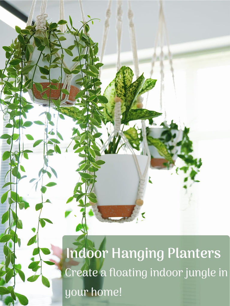 3 Set Self Watering Hanging Planters for Indoor Plants