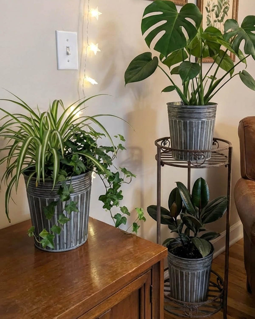 7 Inch Planters, 6 Pack Metal Flower Pots with Drain Hole