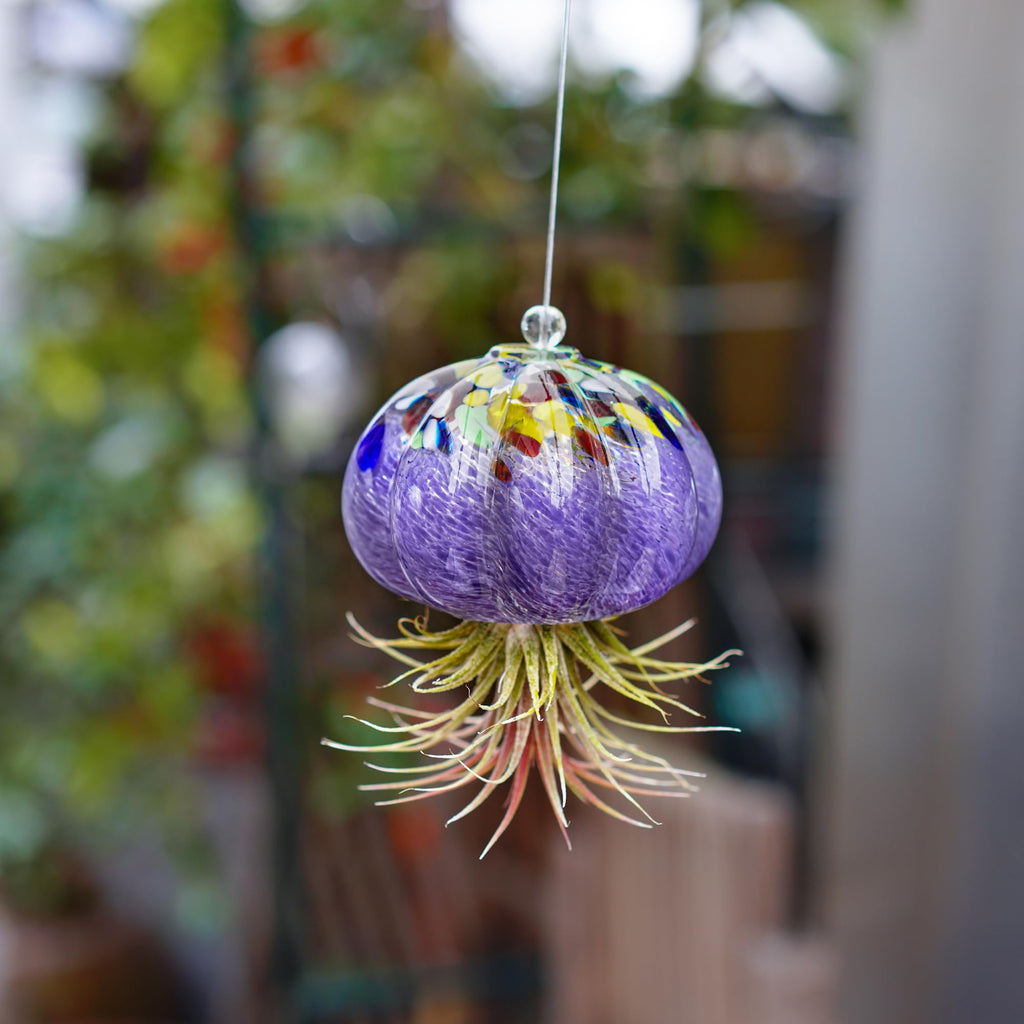 Hand Blown Glass Jellyfish Air Planter Hanging Garden Decor