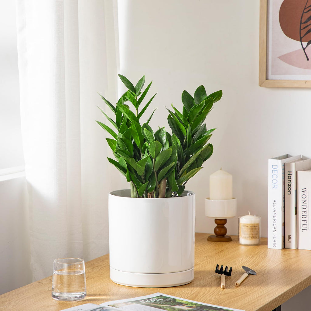 Ceramic Plant Pots, 8.25 Inch Ceramic Pot for Plants, Planters Pots for Indoor Plants with Drainage Holes, Flower Pot