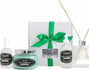Walt's Wonderful World Fragrance Gift Set - Green Clover & Aloe - Disney Resort Inspired Candle, Room Spray &