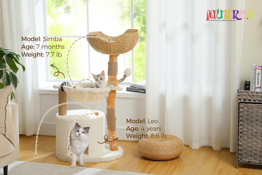 Modern Cat Tree for Large Cats, Wood Cat Tower for Indoor Cats, Real Branch Luxury Cat Furniture with Super Large