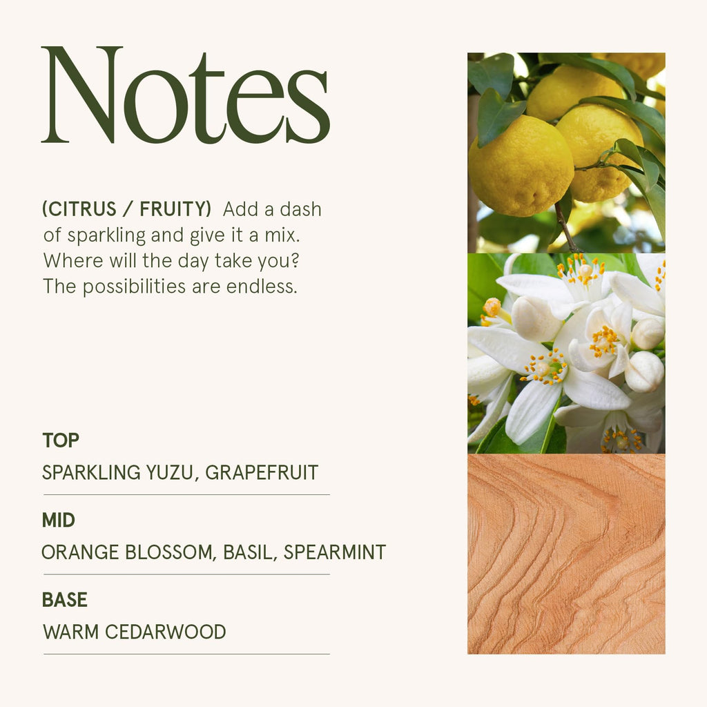 Yuzu & Neroli Scented Candles, Natural Soy 2-Wick