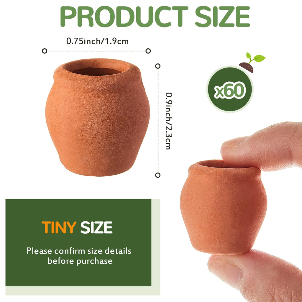 60 Pcs Mini Terracotta Clay Pots for Succulent Cactus Crafts