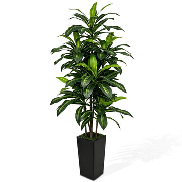 6FT Artificial Dracaena Tree with Tall Black Planter - Large Fake Tree with Lifelike Leaves - Tall Faux Floor Plants
