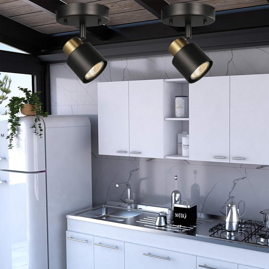 1 Light Track Lighting Kit,2 Packs Matt Black Brass Finish Adjustable Moden Flush Mount Ceiling Spotlight Wall