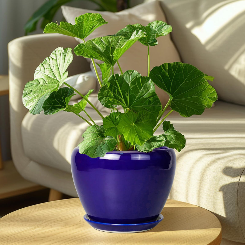 Ceramic Plant Pot 8 Inch, Planter for Indoor Plants, Royal Blue