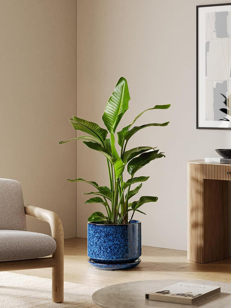 10 + 12 Inch Ceramic Plant Pots, Set of 2, Obsidian Blue