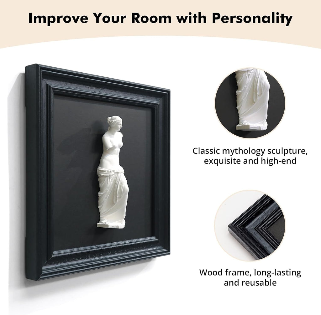 Framed Black and White Wall Sculpture Venus de Milo