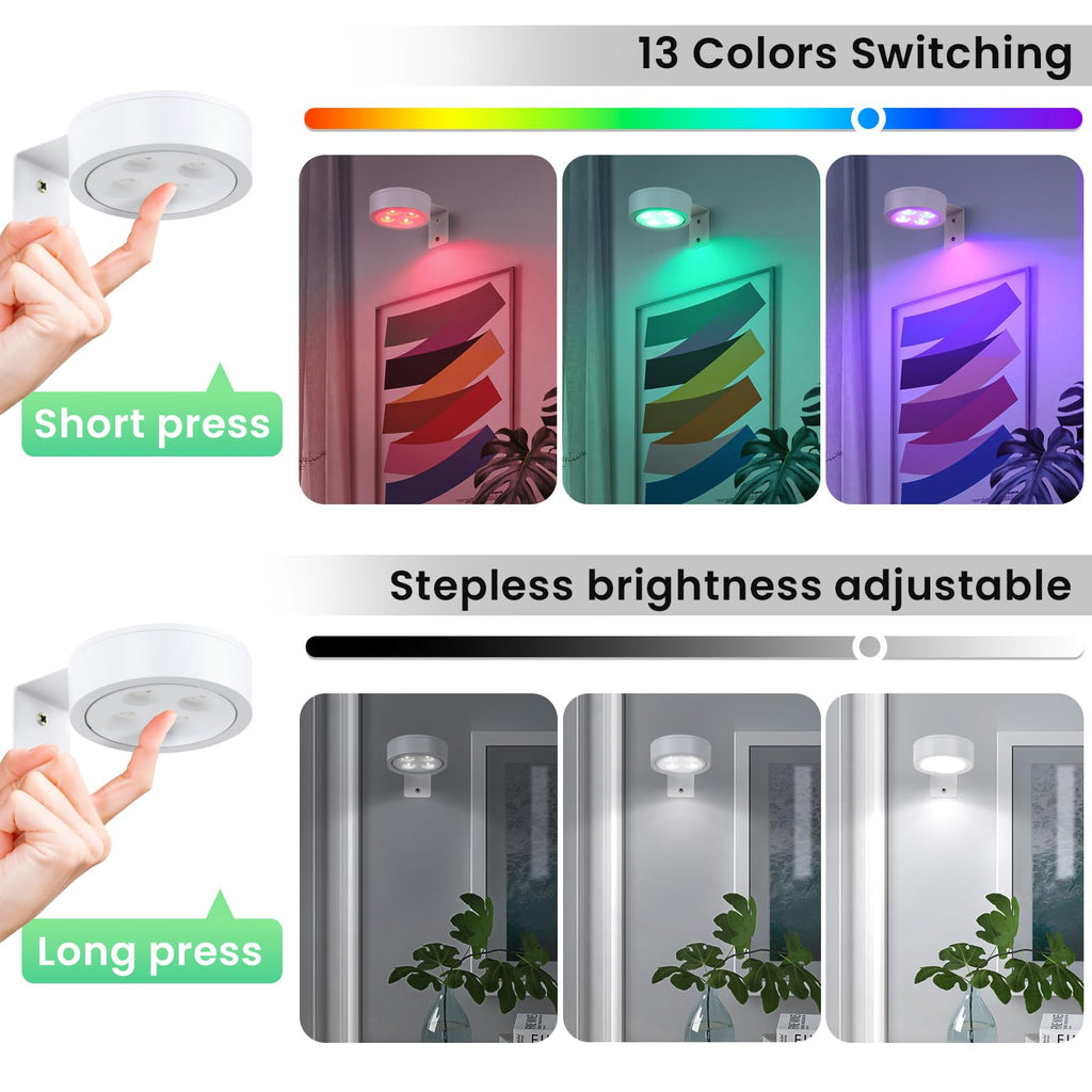 Picture Light Battery Operated with Remote,13 Color Dimmable and Timer Painting Light, Art Display Light