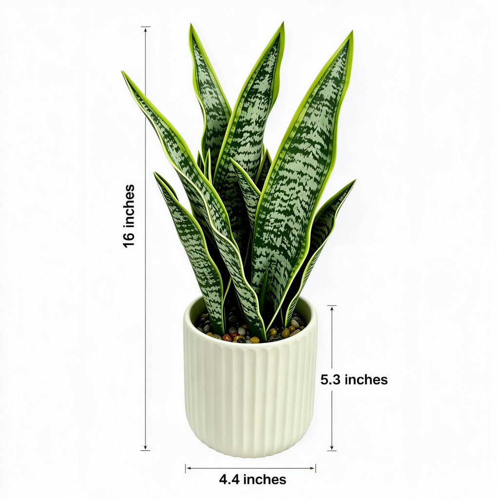 16 Inch Artificial Snake Plant in Ceramic Pot