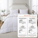 Queen Comforter Set - Reversible Dual Color - Goose Down Alternative
