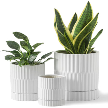 Ceramic Plant Pots Set of 3, 8/6/4.6 Inch Cylinder Flower Planters with Drainage Saucers, Vertical Ribbed Modern