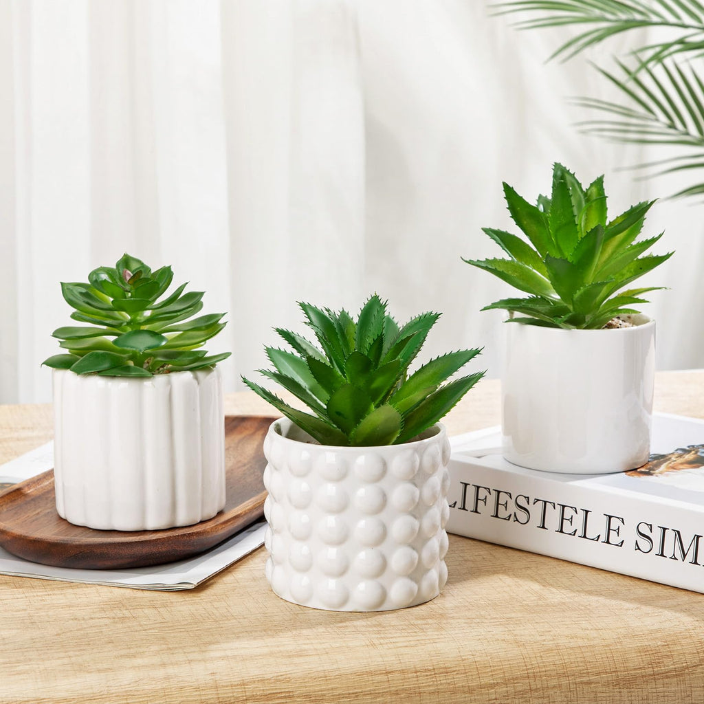 Succulents Plants Artificial in White Ceramic Pots (Set of 3), Small Fake Plants Desk Decor - Modern Mini Potted