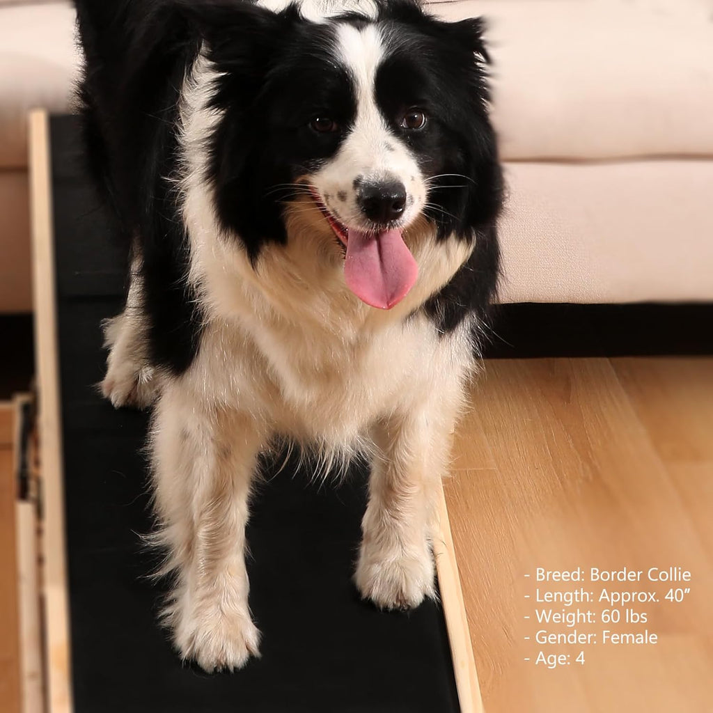 Dog Ramp for Couch & Bed, Adjustable Wooden Ramp for Dogs