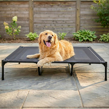 Elevated Dog Bed for Large Dogs 120lb, Breathable Cooling Raised Dog Cot with Dual Support Bars & Metal Frame