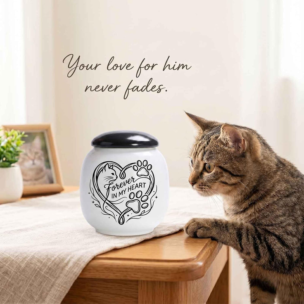 Cat Urn for Ashes, Pet Memorial Keepsake Cremation Urn