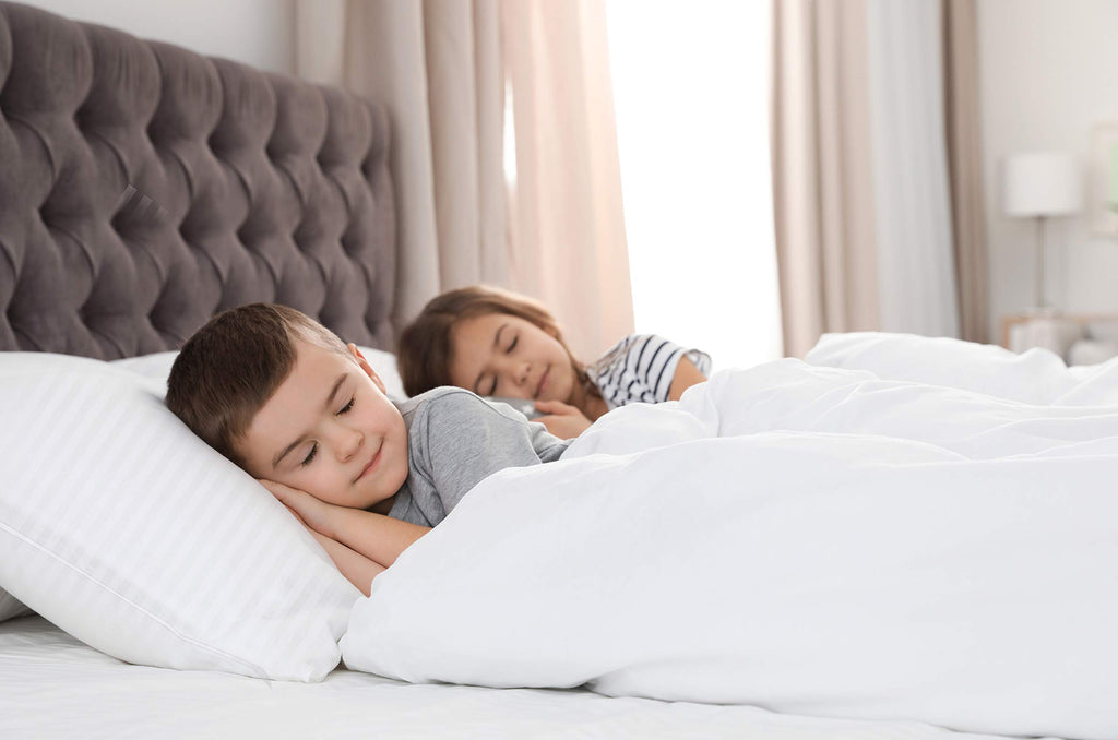 Down Alternative Comforter - Quilted Comforter - Twin Size Comforter - All Season Quilted Duvet Insert, White
