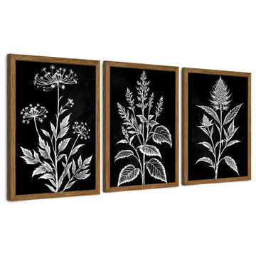 3 Pieces Black White Botanical Wall Art Canvas Framed 20x30 Inch