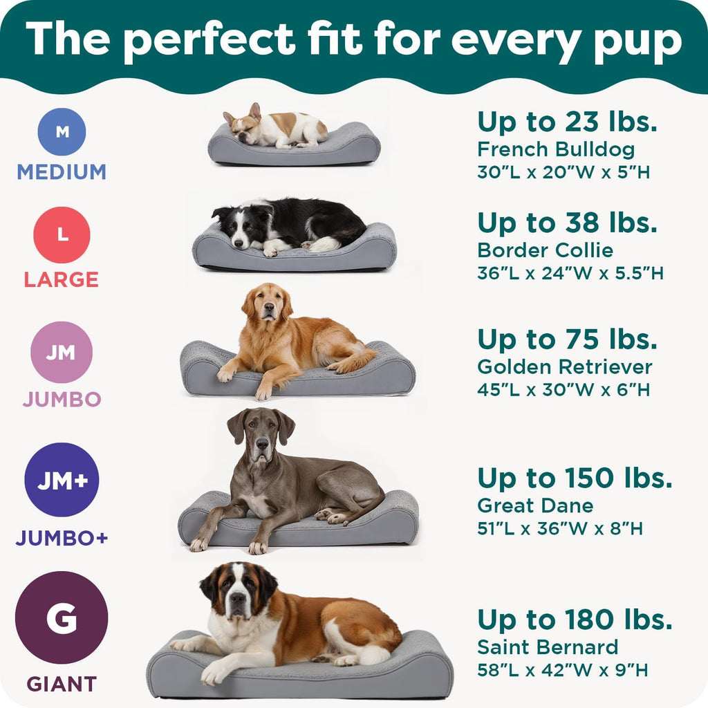 Orthopedic Dog Bed for Medium Dogs, Luxe Lounger Contour Mattress with Solid Orthopedic Foam Slab for Joint Support