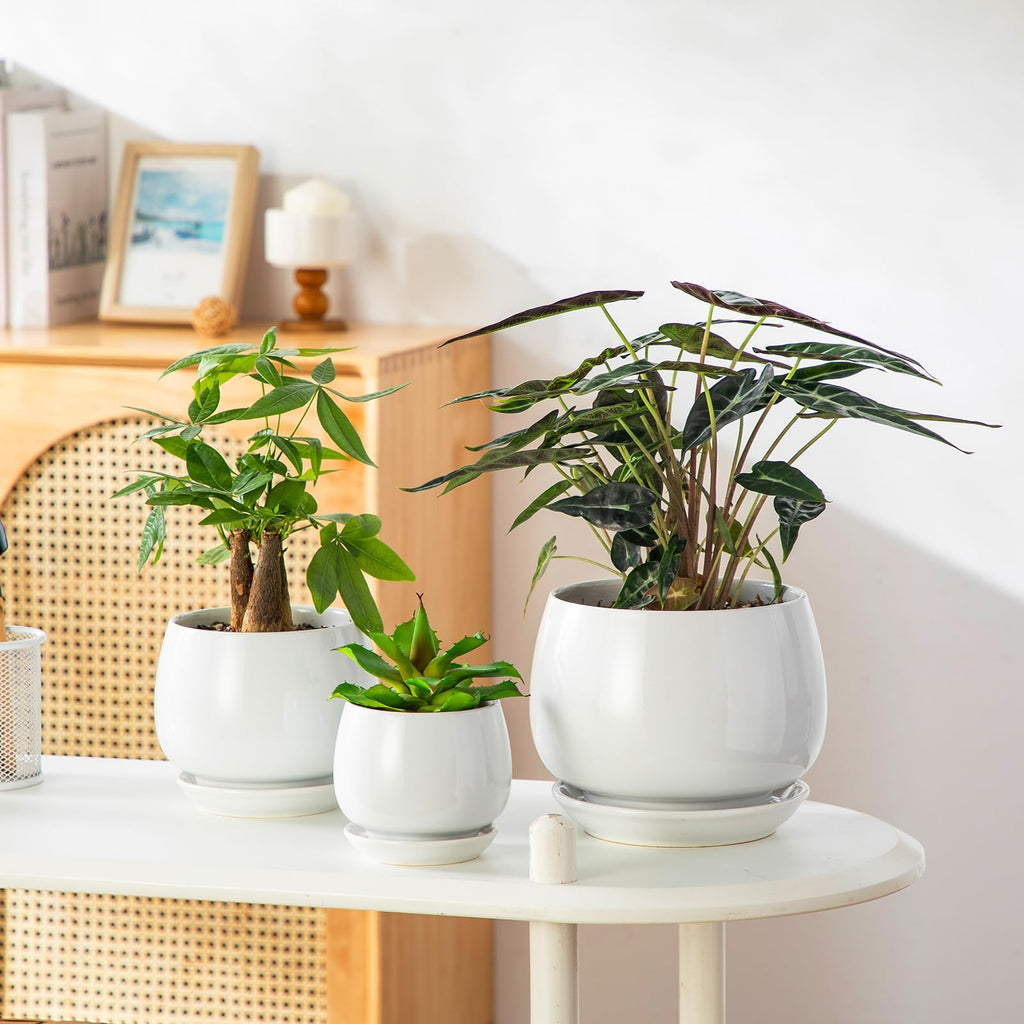3-Pack Ceramic Plant Pots, 3.7/4.8/6.2 Inch Indoor Planters with Saucers & Drainage Hole Planter pots for Indoor